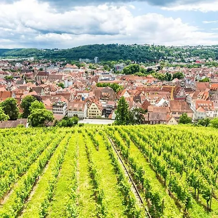 Kleines Gut Und Preiswert Stuttgart