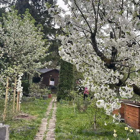 Fussball-hochburg! Gartenparadies Fuer Campen/zelten Роскошный шатер Штутгарт