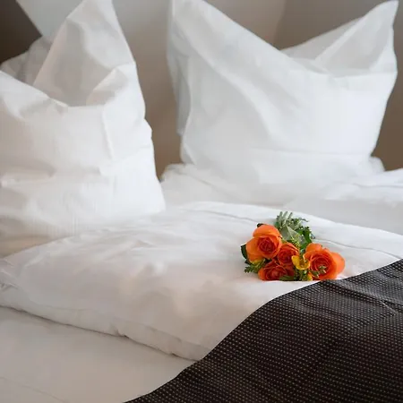 Hotel Alpha & Omega 3*
