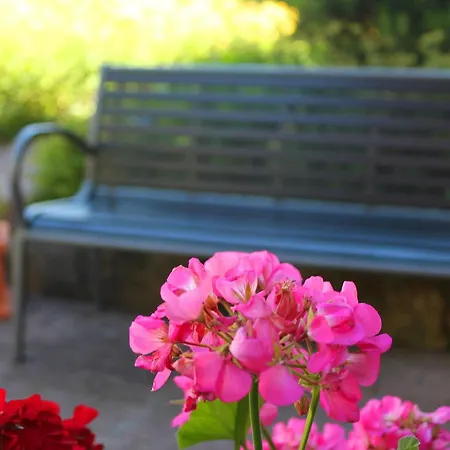 Flora Moehringen Hotel