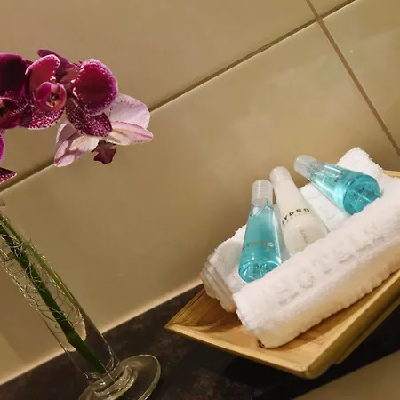 Intercityhotel فندق 3*