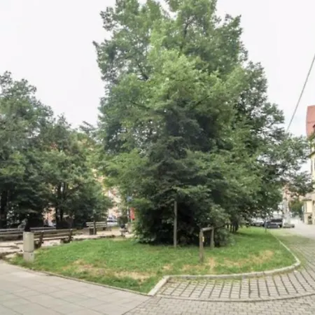 Cozy In Near Center With Shared Bathroom And Kitchen