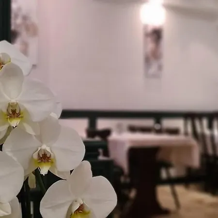 拉姆酒店 酒店 2*