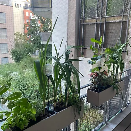 Apartment Grosszuegige Oase Mitte