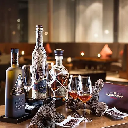 酒店 Althoff Am Schlossgarten 5*