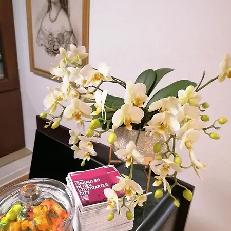 Olgaeck 酒店 斯图加特