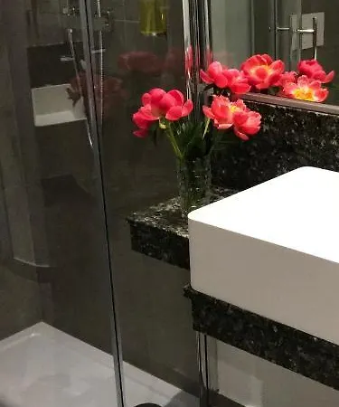 فندق روس 3*