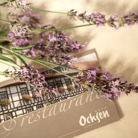 Ochsen 4* Štutgart