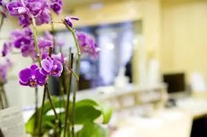 Hotel Centro Sautter City, Trademark Collection By Wyndham