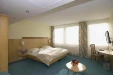 Kronenhotel Hotell 4*